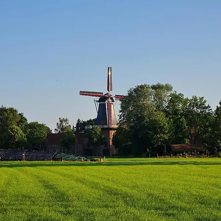 Hiskas Boehn Lejlighed