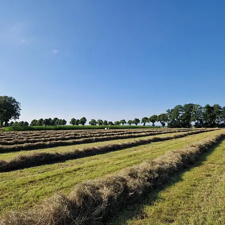 Hiskas Boehn * Rhauderfehn