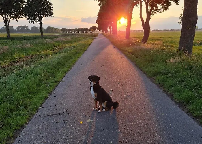 Apartamento Hiskas Boehn *