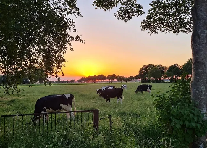 Hiskas Boehn Apartamento Rhauderfehn