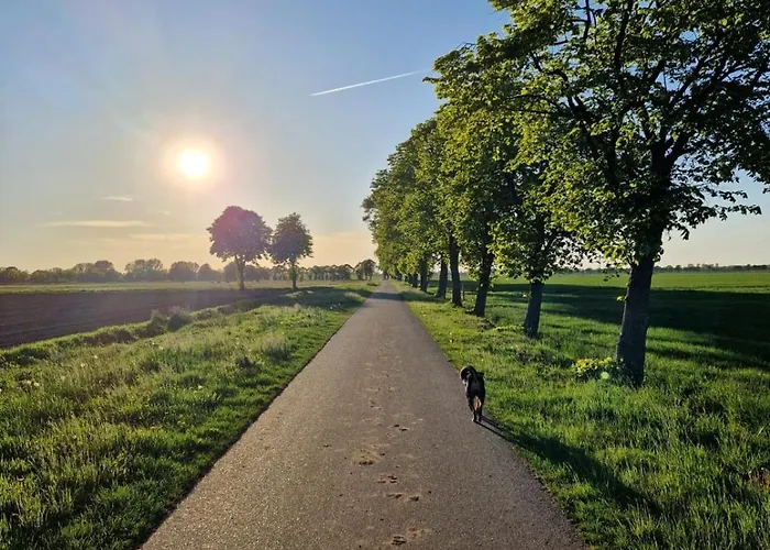 Hiskas Boehn Apartamento Rhauderfehn
