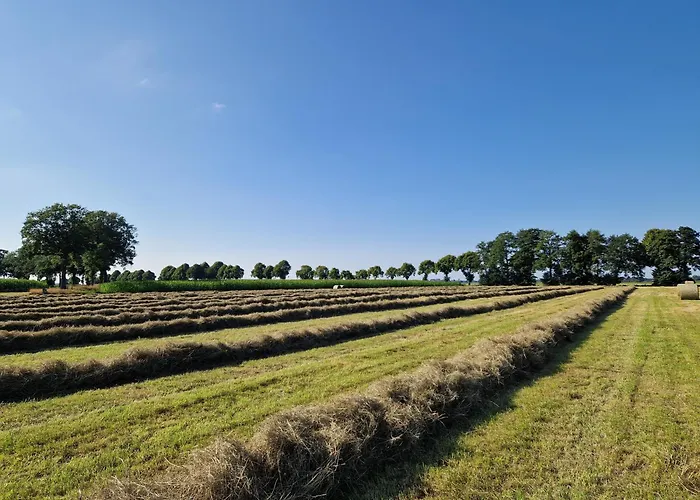Hiskas Boehn * Rhauderfehn